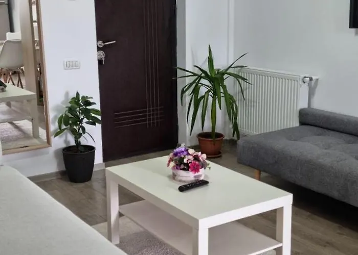 Karina * 那沃达利